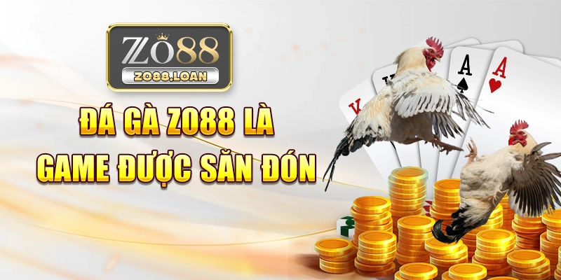 Đá gà Zo88 là game được săn đón