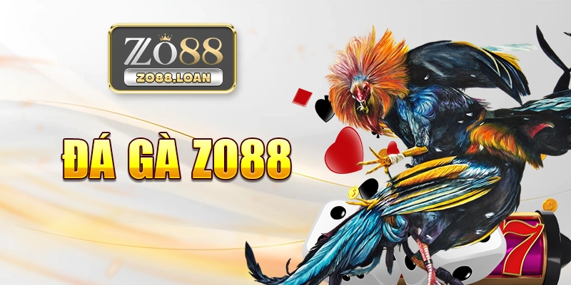 Điều gì làm nên sức hút của đá gà Zo88?